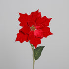 Ramo Stella di Natale Velluto Rosso 53 cm