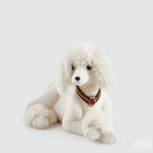 Barboncino Bianco 35 x 54 x 31 cm