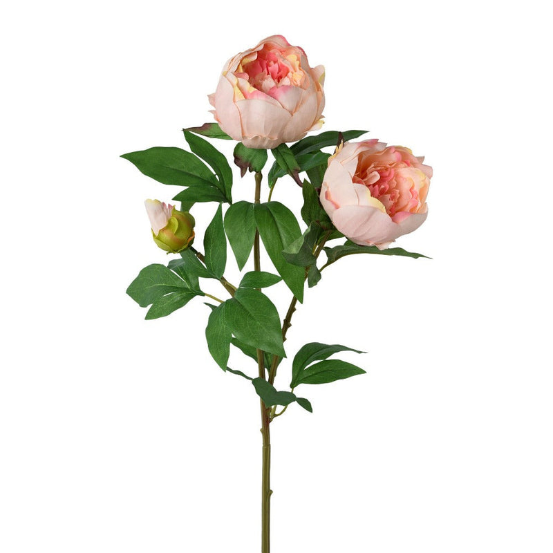 Ramo Peonia 70 cm Rosa