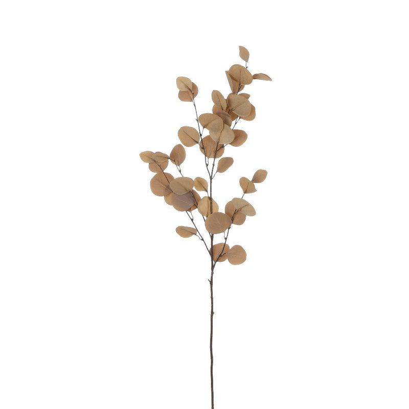 Ramo Eucalipto Marrone 97 cm