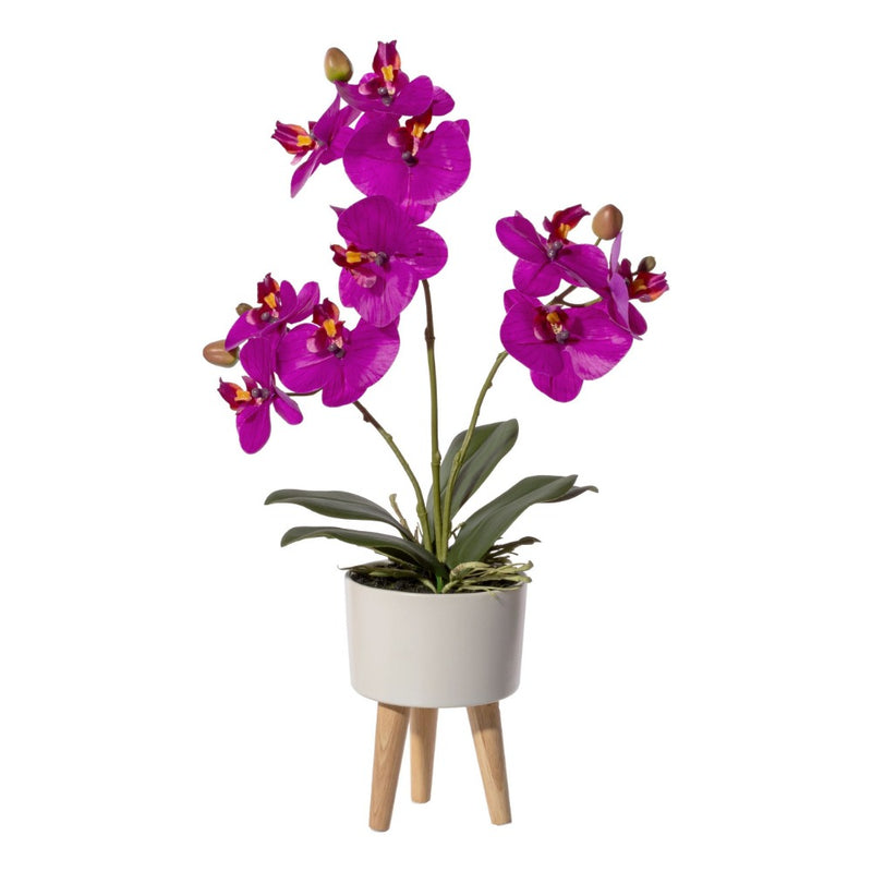 Pianta Orchidea Phalaenopsis Fucsia con Vaso Trepiedi 42 cm