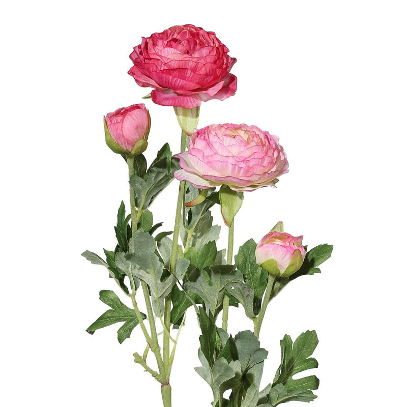 Ramo Ranuncolo Sfumature di Rosa 40 cm