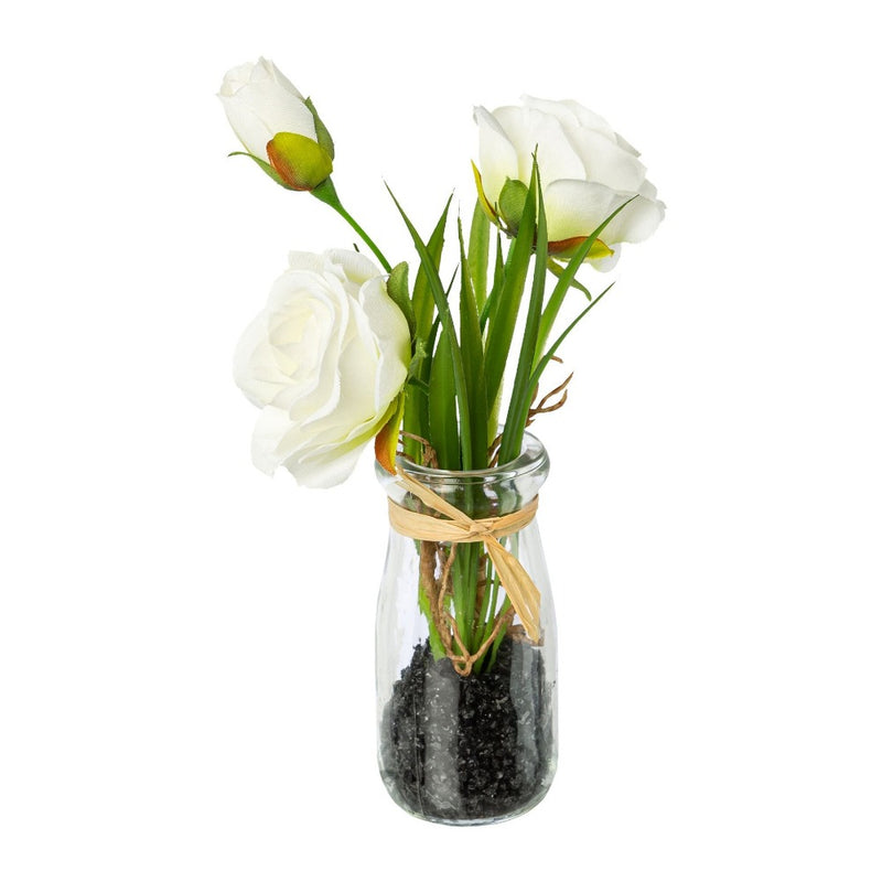 Pianta Roselline Bianco con Vaso in Vetro 21 cm