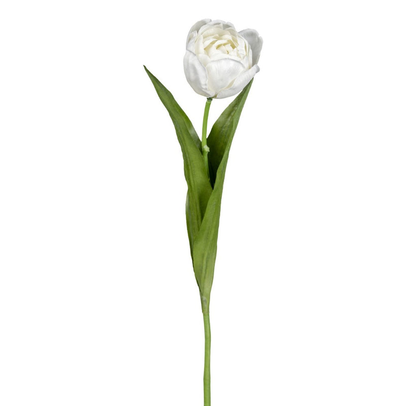 Ramo Tulipano Bianco 48 cm