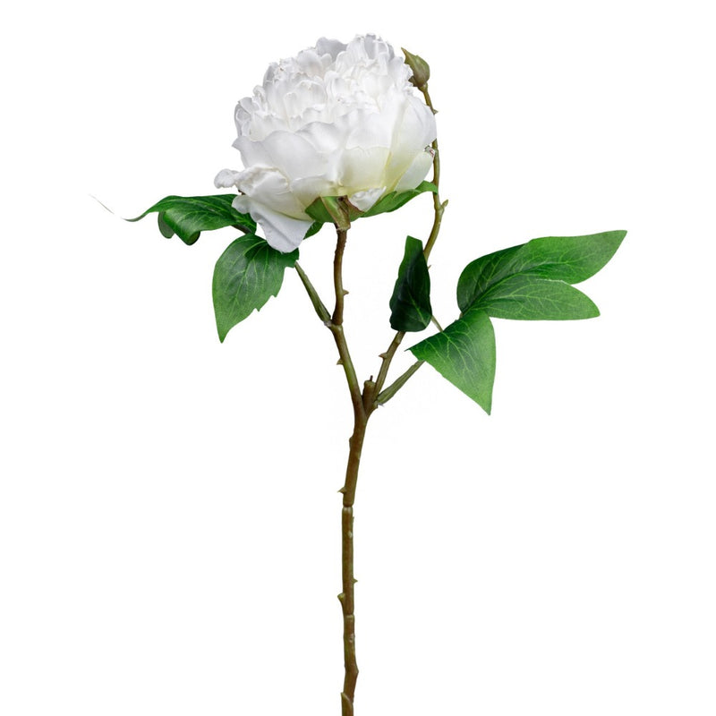 Ramo Peonia Bianco 45 cm