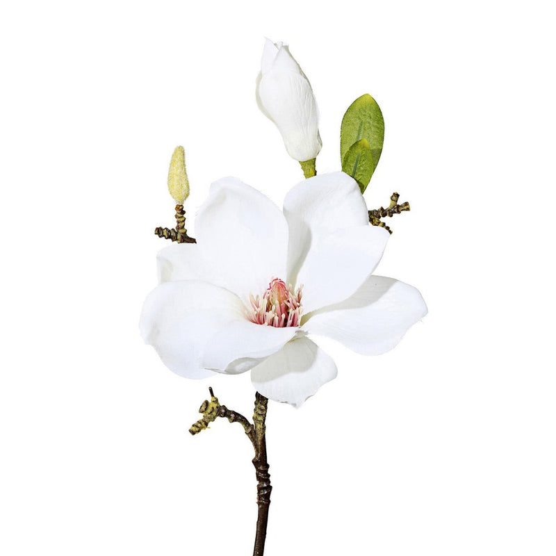 Pick Magnolia Bianco 37 cm