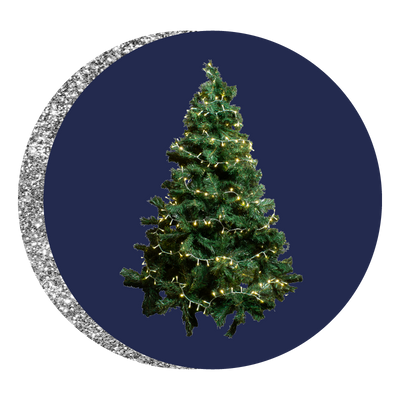 Alberi di Natale 2025