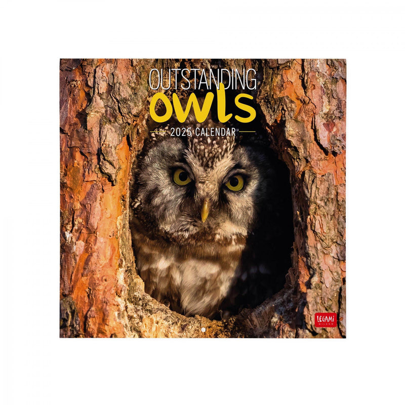 Calendario da Muro 2025 - Outstanding Owls - 30 x 29 cm