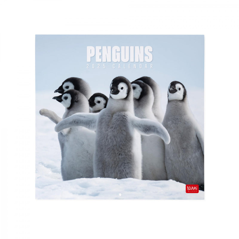 Calendario da Muro 2025 - Penguins - 30 x 29 cm