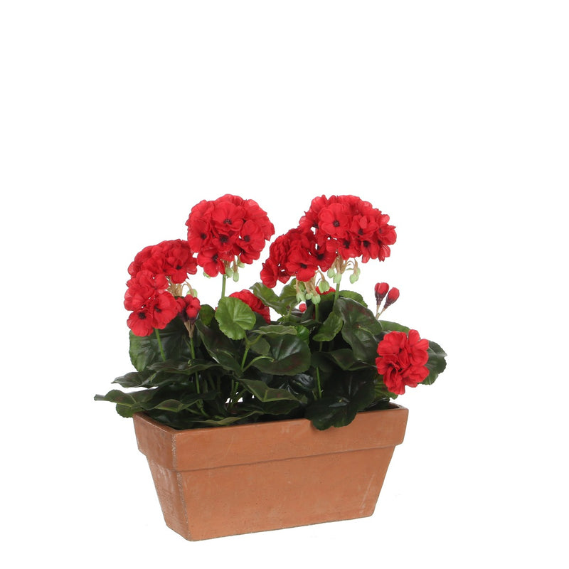 Pianta Geranio con Vaso 29 x 13 x 40 cm Rosso