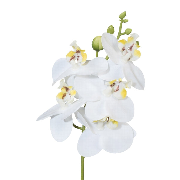 Ramo Orchidea Real Touch Bianco 27 cm