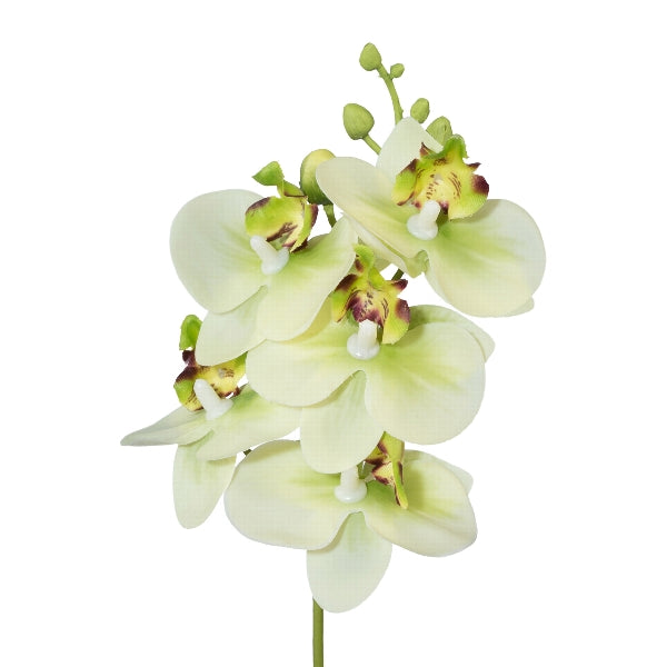 Ramo Orchidea Real Touch Verde 27 cm