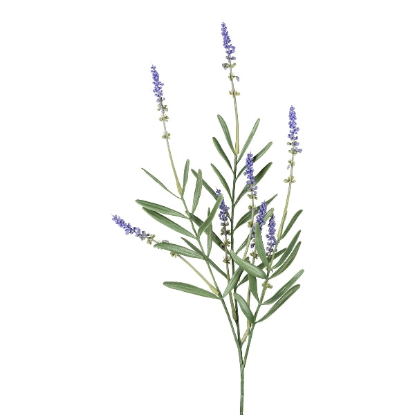 Ramo Lavanda 50 cm