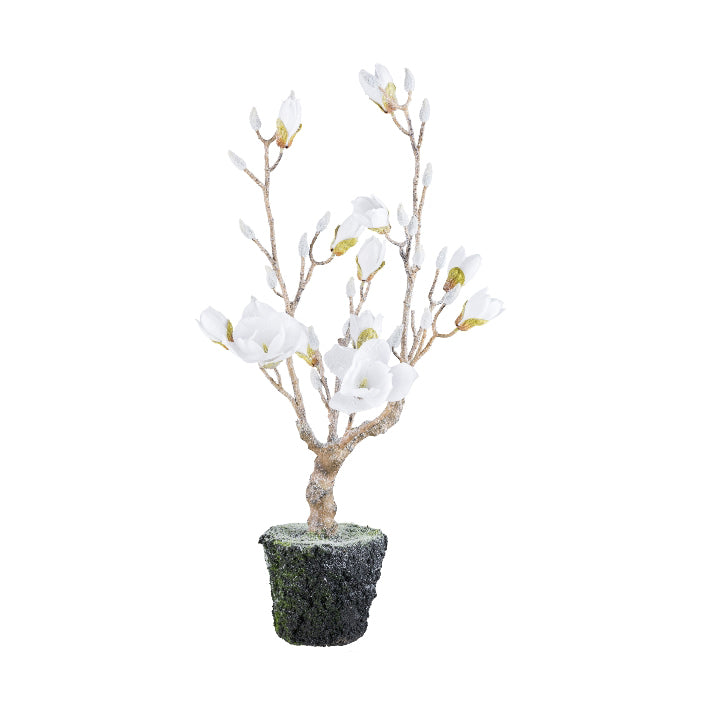 Vaso Magnolia Innevata Bianco 77,5 cm