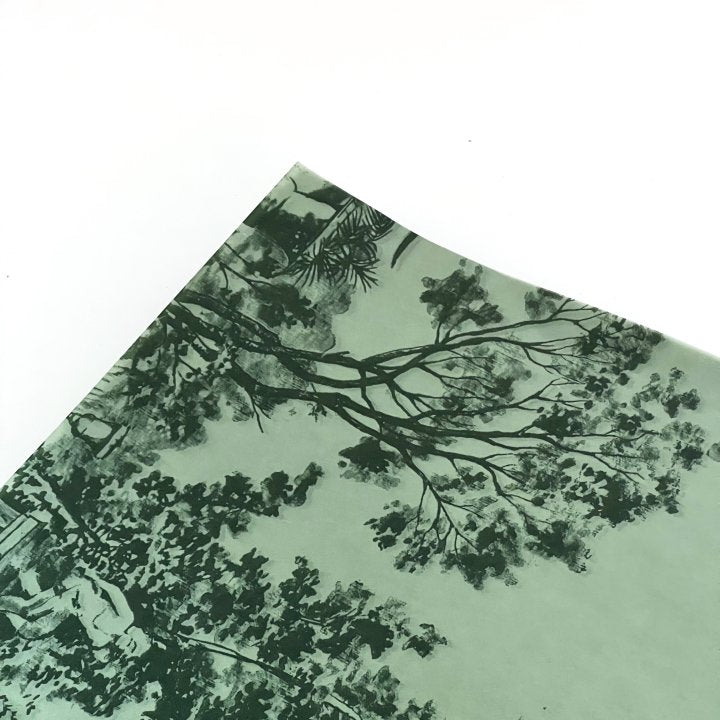 Carta Velina Garden Verde 62 x 86 cm - 25 pezzi