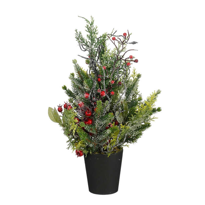 Cedro Brinato Verde con Bacche in Vaso 18 x 45 cm