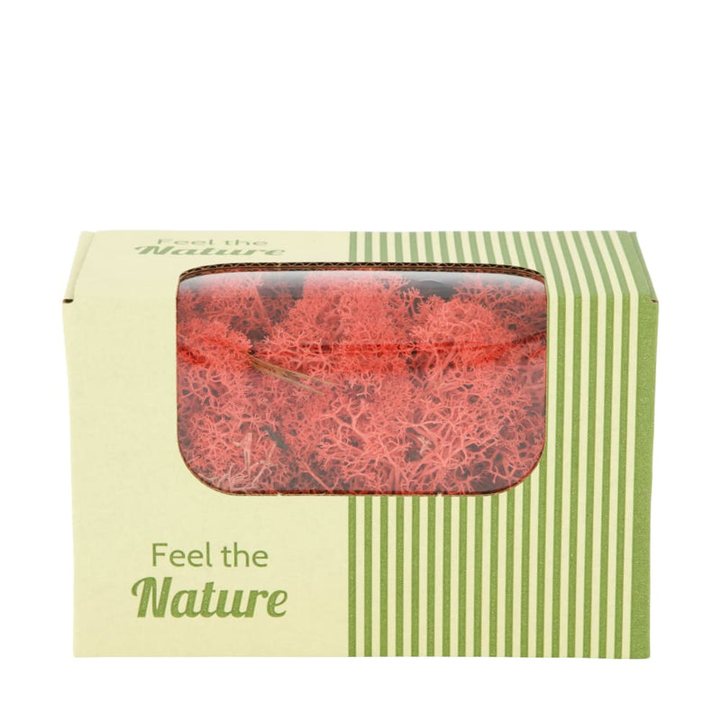 Muschio Rosso con Scatola 50 gr