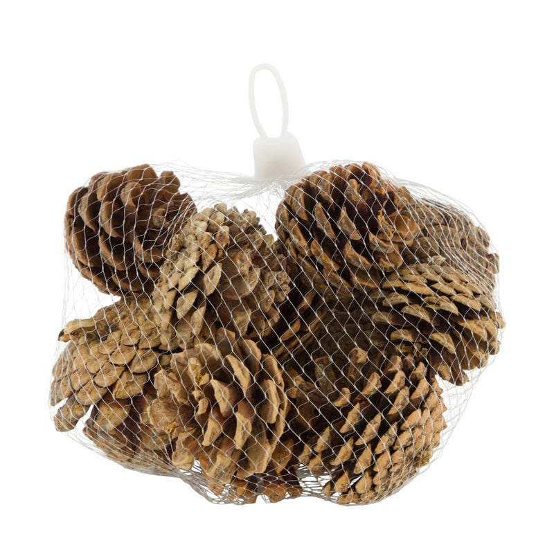 Pigne Naturali 200 gr