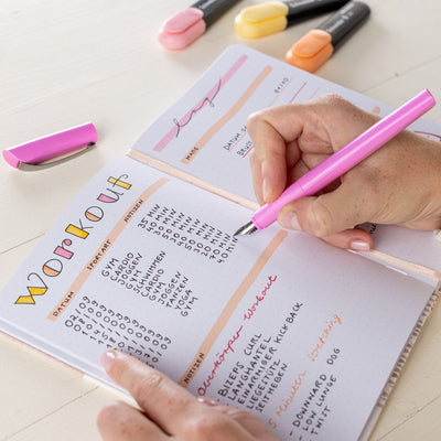 Penna Stilografica Cancellabile Schneider Ceod Colour a Punta Media Passion Fruit