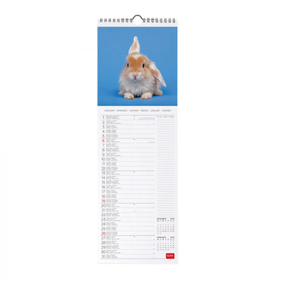 Calendario da Muro 2025 - Honey Bunny - 16 x 49 cm