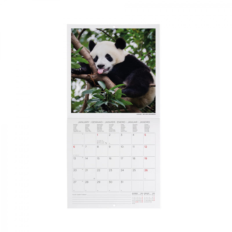 Calendario da Muro 2025 - Life Is Pantastic - 18 x 18 cm