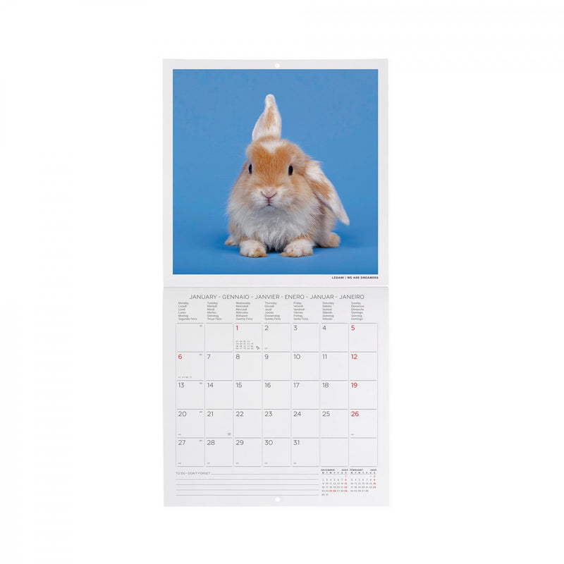 Calendario da Muro 2025 - Honey Bunny - 18 x 18 cm