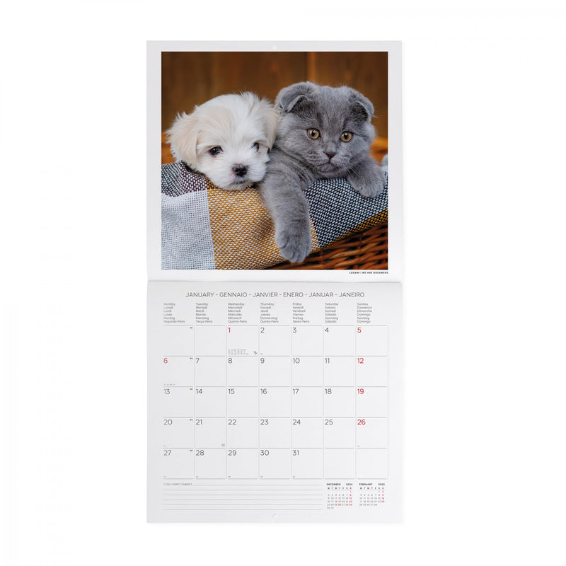 Calendario da Muro 2025 - Best Friends - 30 x 29 cm