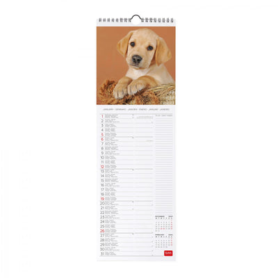 Calendario da Muro 2025 - Puppies - 16 x 49 cm