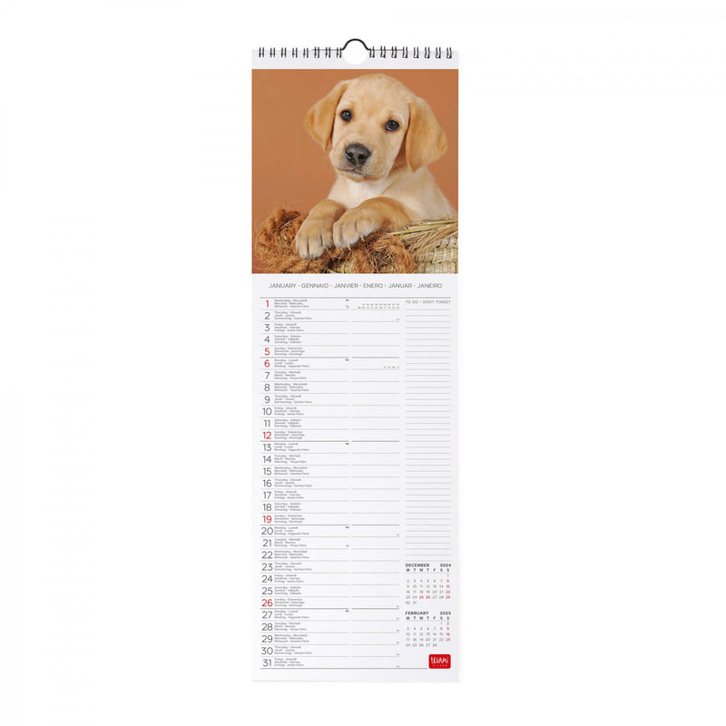 Calendario da Muro 2025 - Puppies - 16 x 49 cm