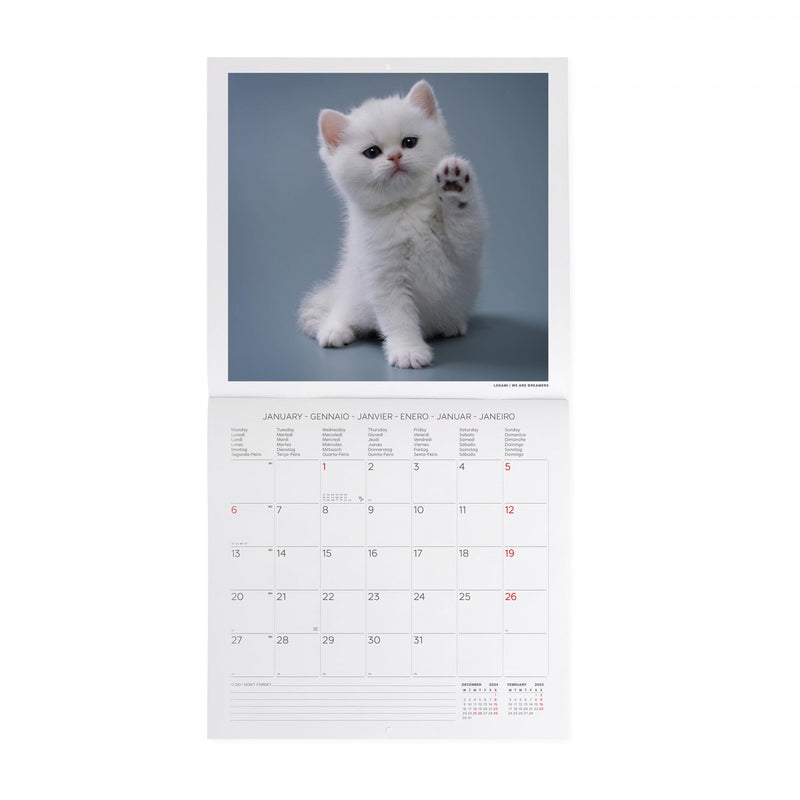 Calendario da Muro 2025 - Kittens - 30 x 29 cm - Cats