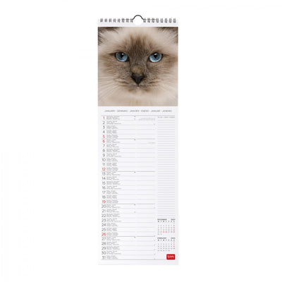 Calendario da Muro 2025 - Cats - 16 x 49 cm