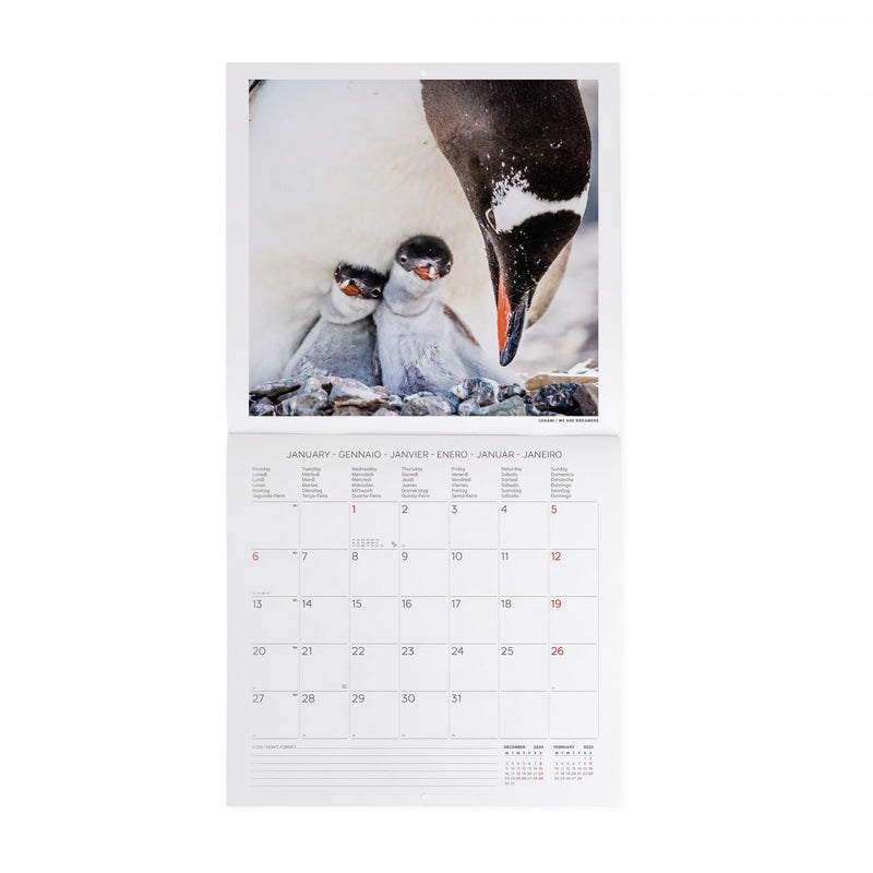 Calendario da Muro 2025 - Penguins - 30 x 29 cm