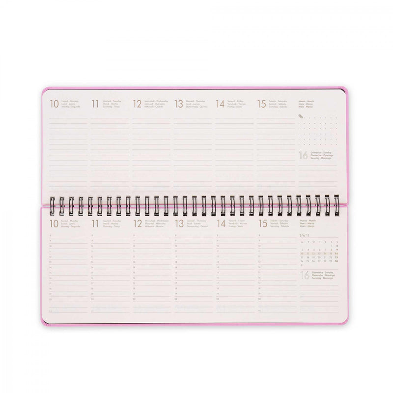 Diario 12 Mesi Desk Planner - Bubblegum