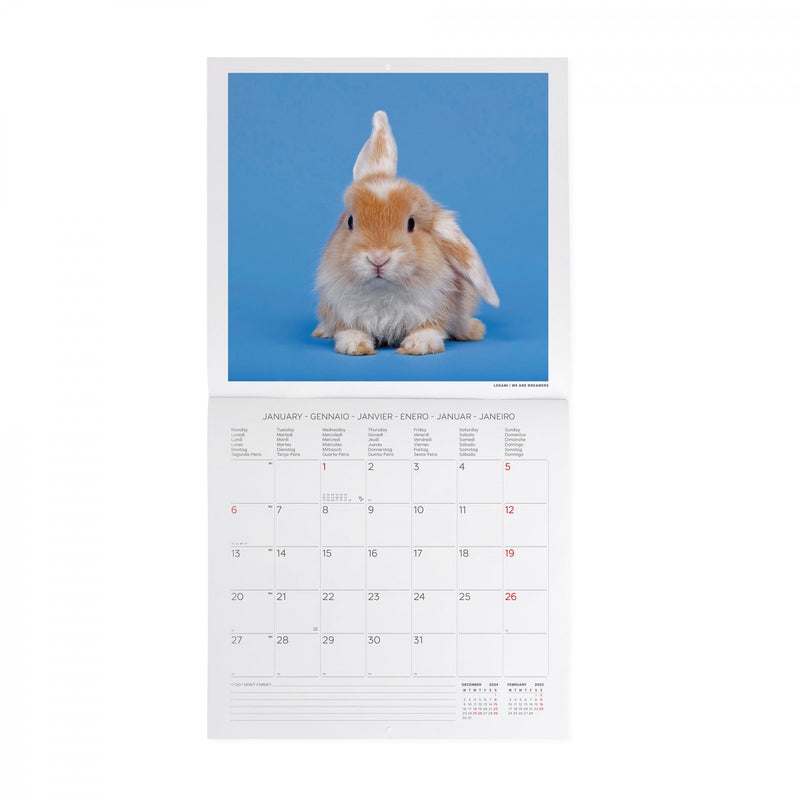 Calendario da Muro 2025 - Honey Bunny - 30 x 29 cm