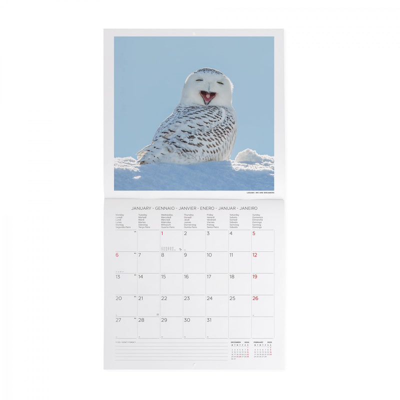 Calendario da Muro 2025 - Outstanding Owls - 30 x 29 cm