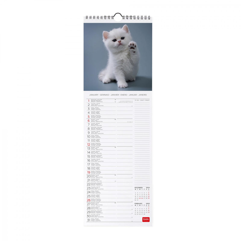 Calendario da Muro 2025 - Kittens - 16 x 49 cm - Cats