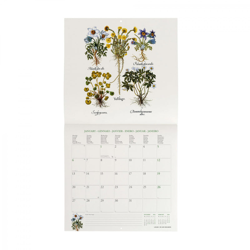 Calendario da Muro 2025 - Herbarium - 30 x 29 cm