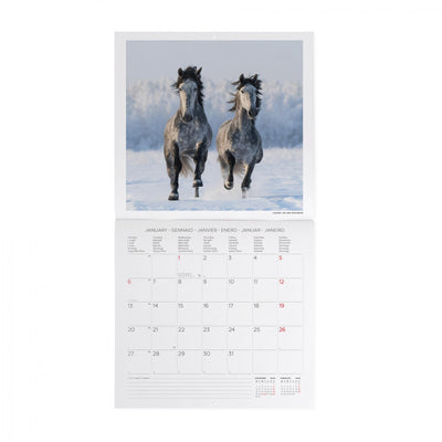 Calendario da Muro 2025 - Wild Horses - 30 x 29 cm