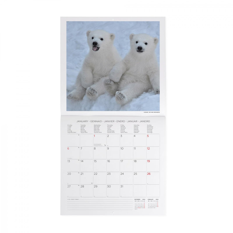 Calendario da Muro 2025 - Baby Animals - 30 x 29 cm