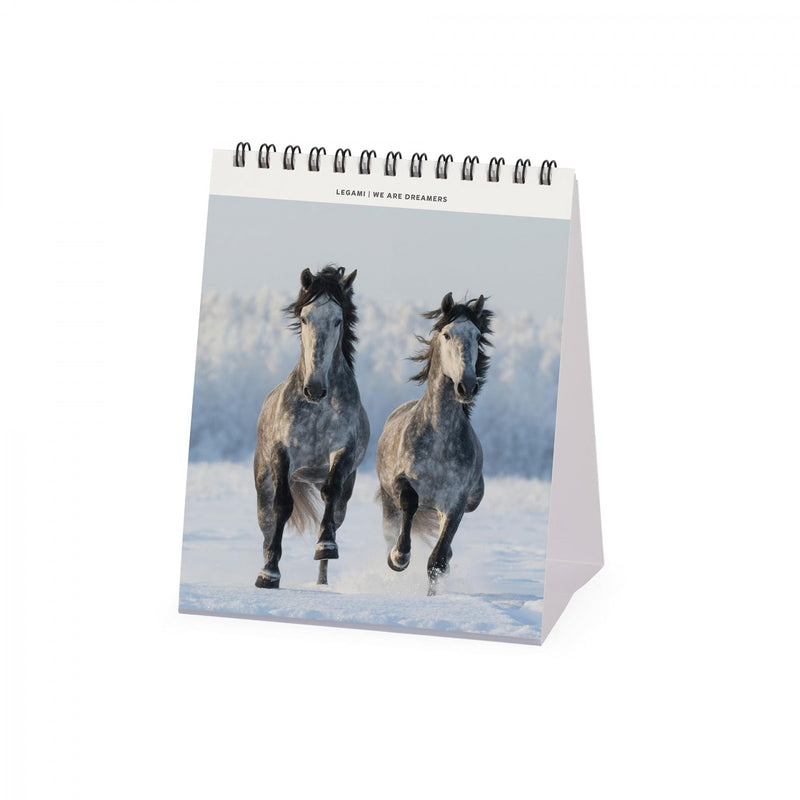 Calendario da Tavolo 2025 - Wild Horses- 12 x 14,5 cm