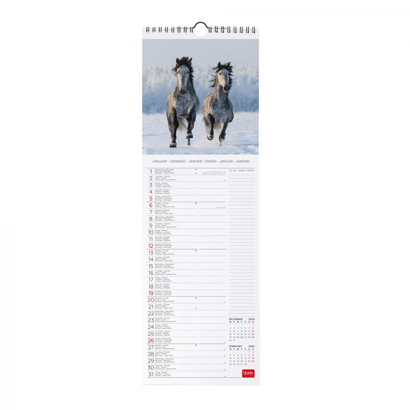 Calendario da Muro 2025 - Wild Horses - 16 x 49 cm