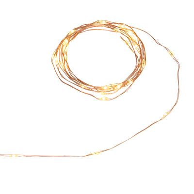 Filo Luci Argentato 40 LED Bianco Classico 2 mt