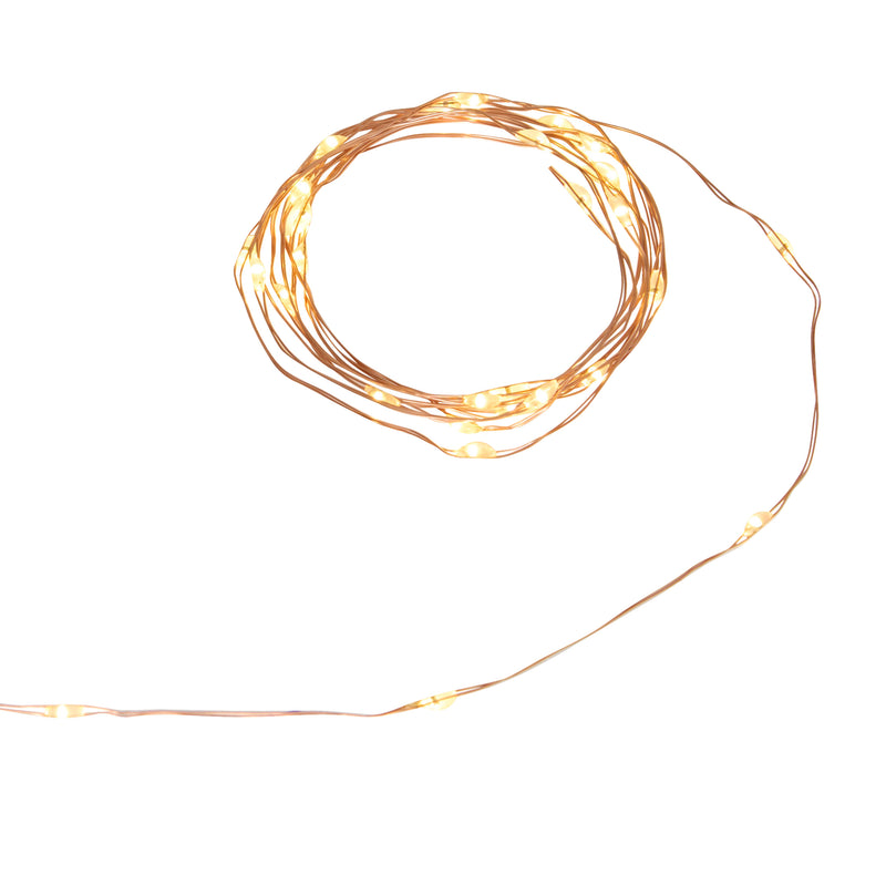 Filo Luci Argentato 40 LED Bianco Classico 2 mt