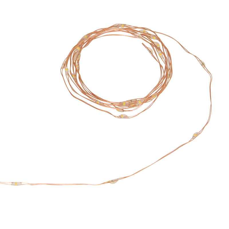 Filo Luci Argentato 40 LED Bianco Classico 2 mt