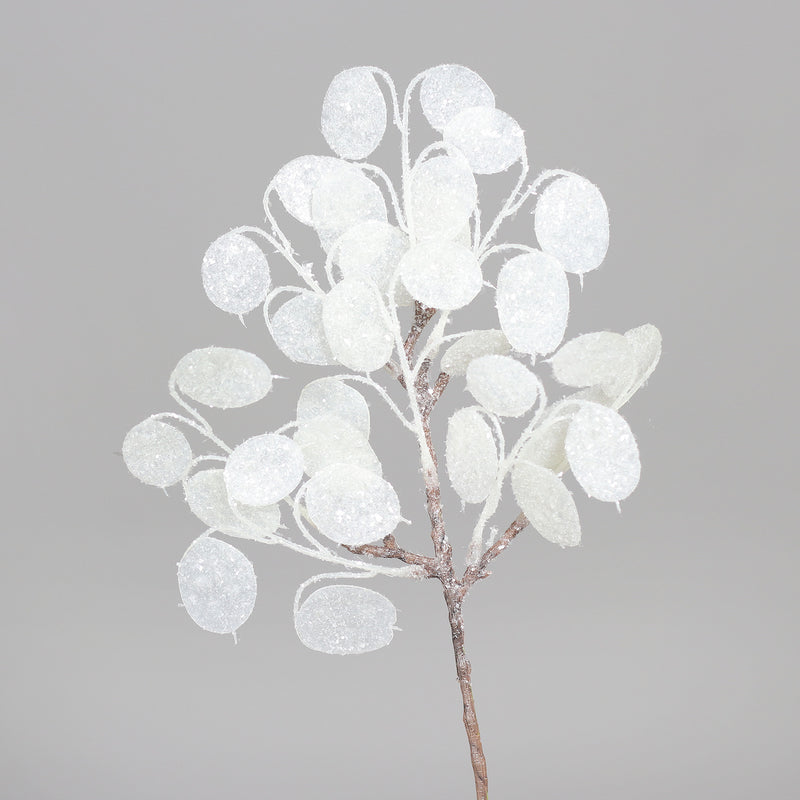 Pick Lunaria Bianco 35 cm