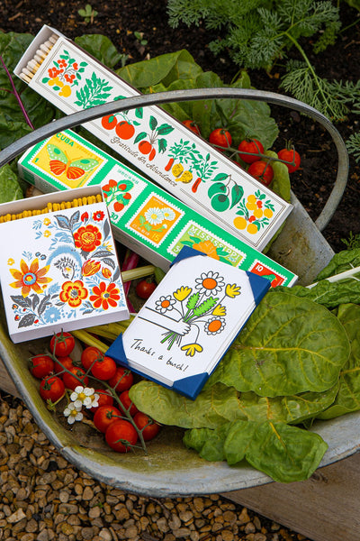 Fiammiferi in Legno The Archivist Gratitude in Abundances Long