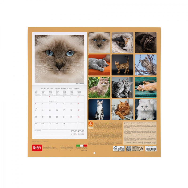 Calendario da Muro 2025 - Cats - 30 x 29 cm