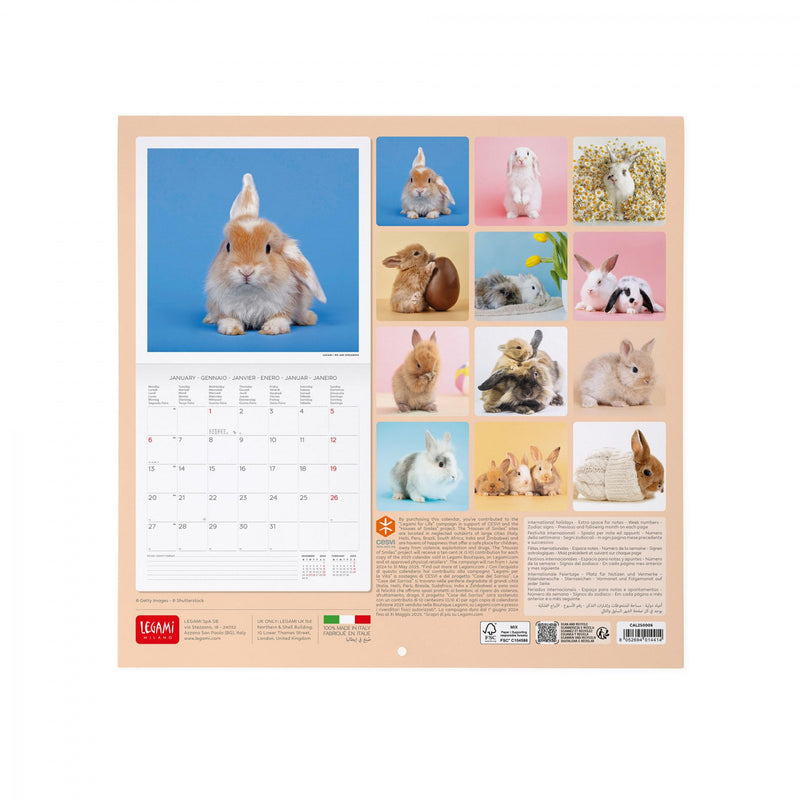 Calendario da Muro 2025 - Honey Bunny - 30 x 29 cm