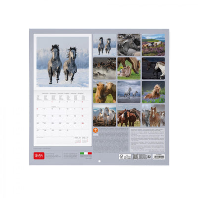 Calendario da Muro 2025 - Wild Horses - 30 x 29 cm