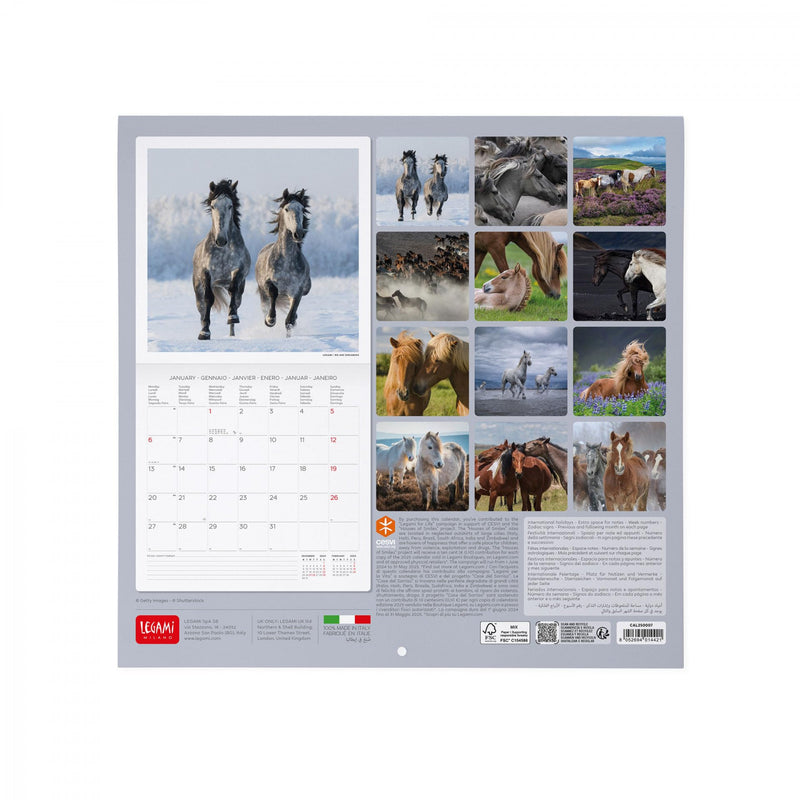 Calendario da Muro 2025 - Wild Horses - 30 x 29 cm